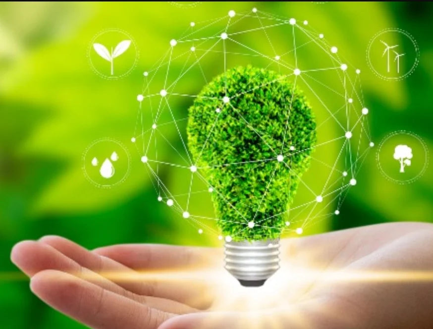 Sostenibilidad en OroCaribe